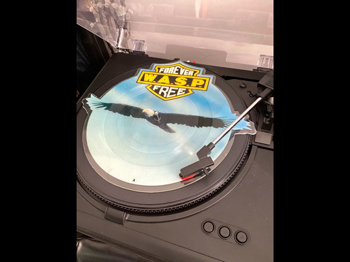 Forever free vinyl - free,