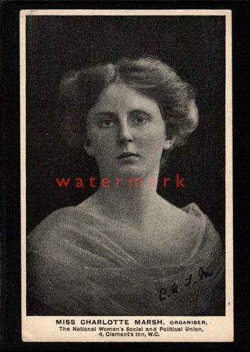 Suffragette miss charlotte - miss,