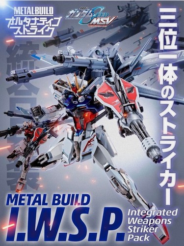 Metal build gundam seed msv - msv,