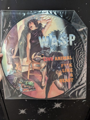 Wasp live animal f k - wasp, f**k